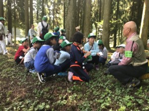 image1_4 image1_4.jpeg