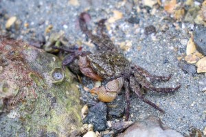 image0_2 image0_2.jpeg