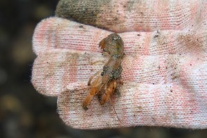 image1_3 image1_3.jpeg