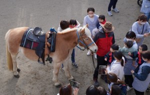乗馬 0・1・2歳児