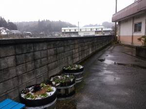 20180110104747 20180110104747.jpg