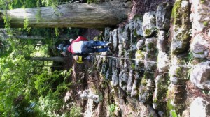 DSC_0917_2 DSC_0917_2.jpg