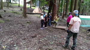 DSC_0095 DSC_0095.JPG