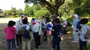 DSC_0166 DSC_0166.JPG