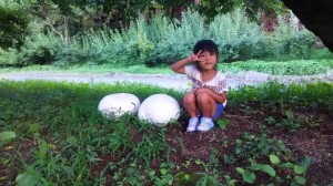 白くてでっかいきのこ９月 (1)