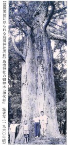 20181219172945290 - コピー