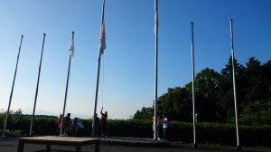 DSC_0311 DSC_0311.JPG